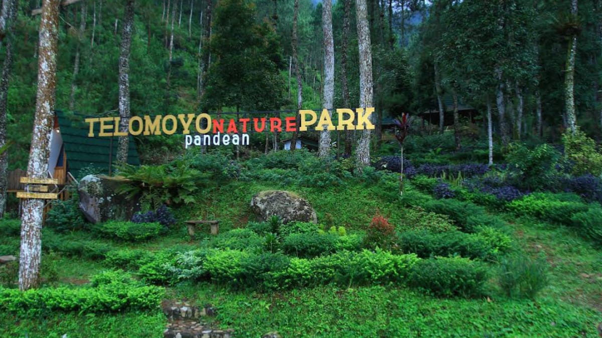 Telomoyo Nature Park: Jelajahi Keindahan Alam yang Tersembunyi