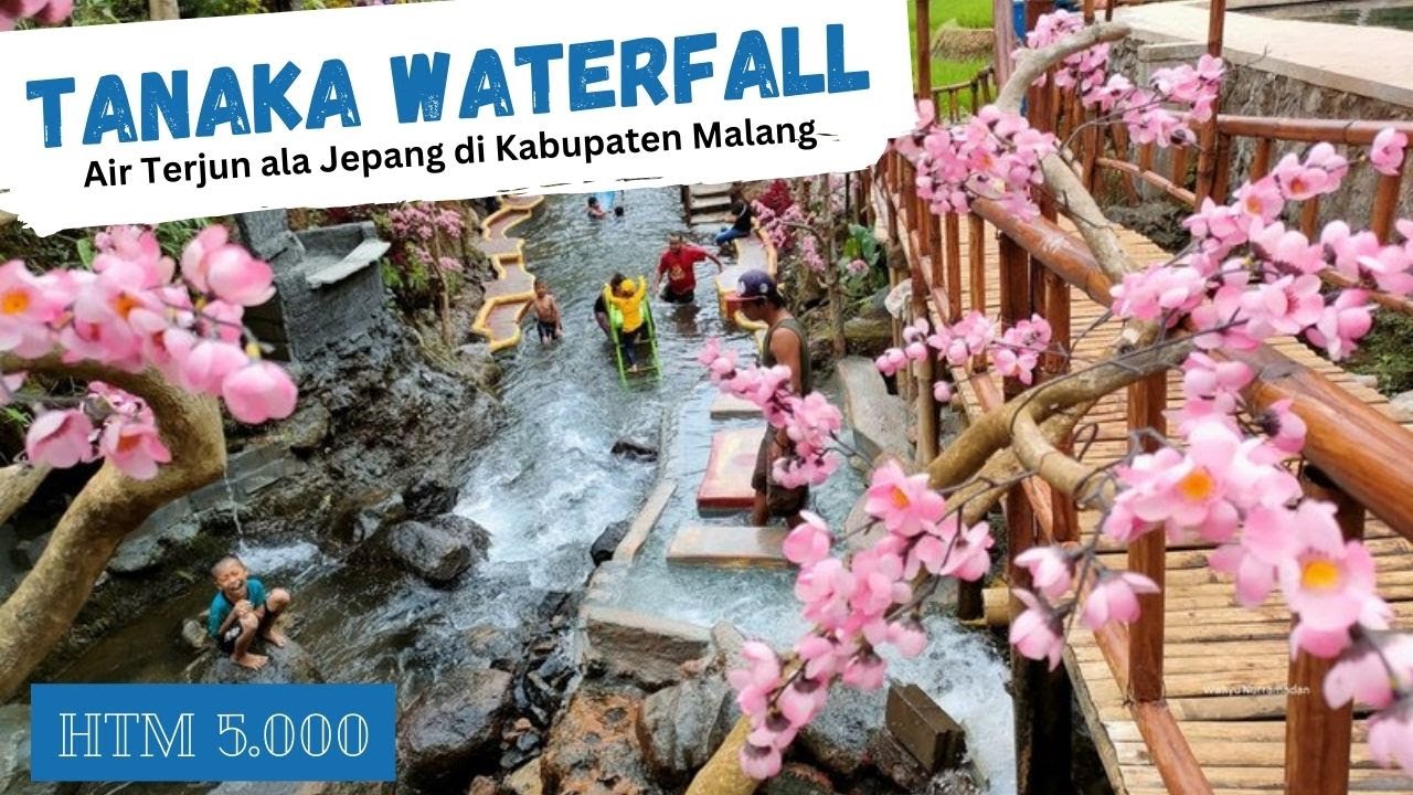 Wisata Air Terjun Tanaka: Pesona Alam dan Aktivitas Menarik